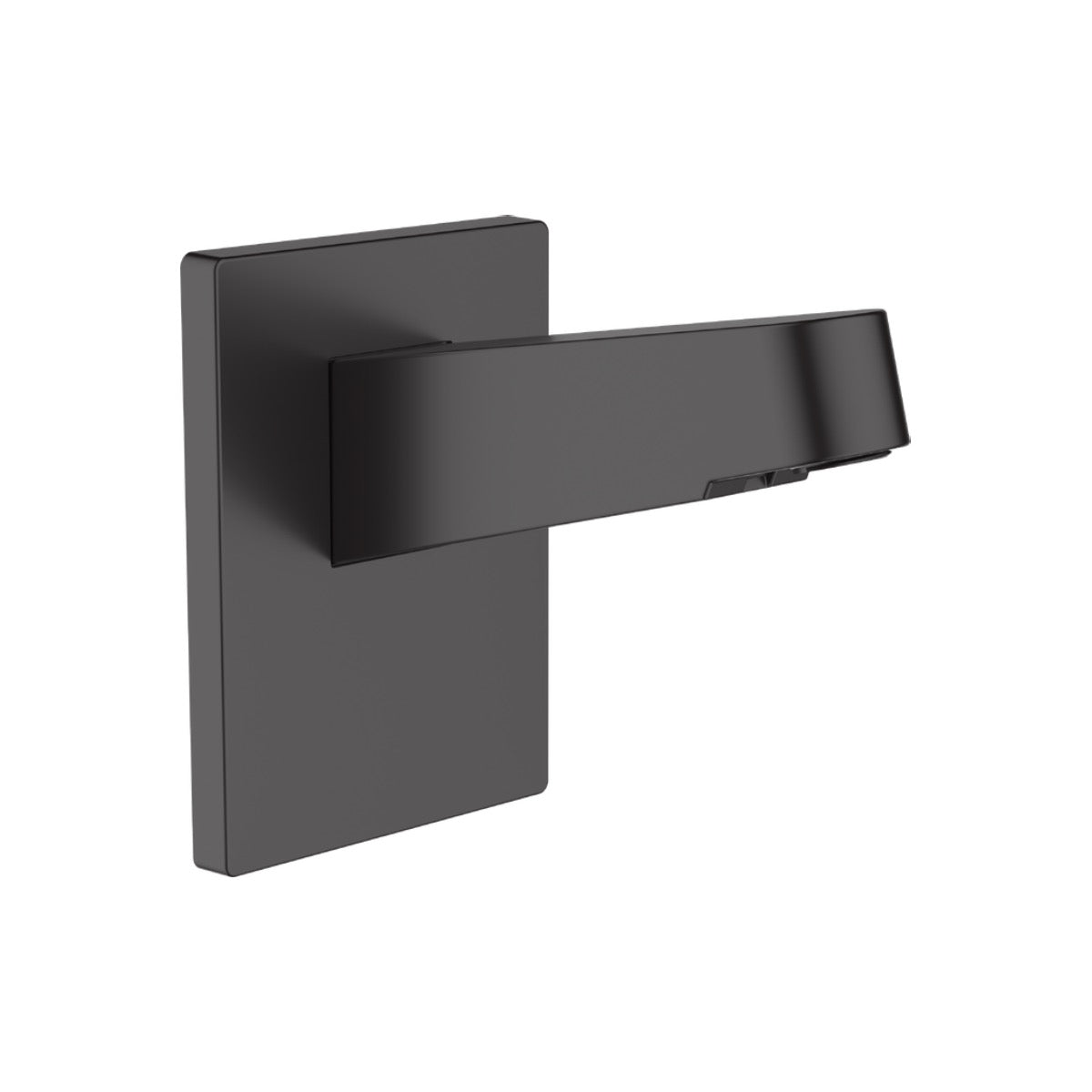 24149670 Hansgrohe Pulsify držalo za nadglavno prho