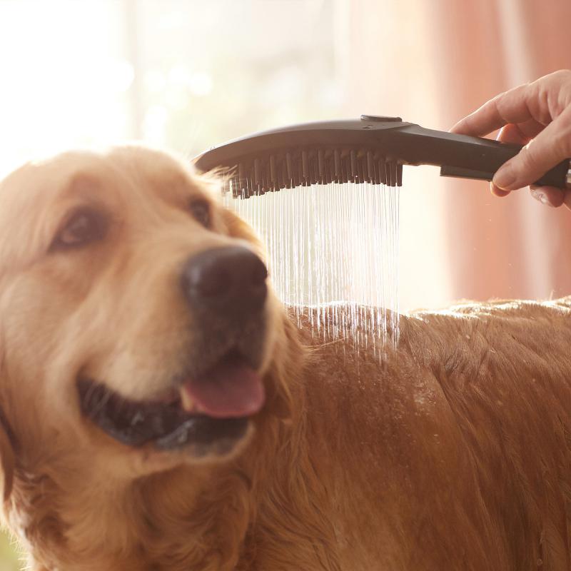 Prhe 26640670 Hansgrohe DogShower Select tuš ročka 3 funkcije | KOPALNICA-ONLINE.SI