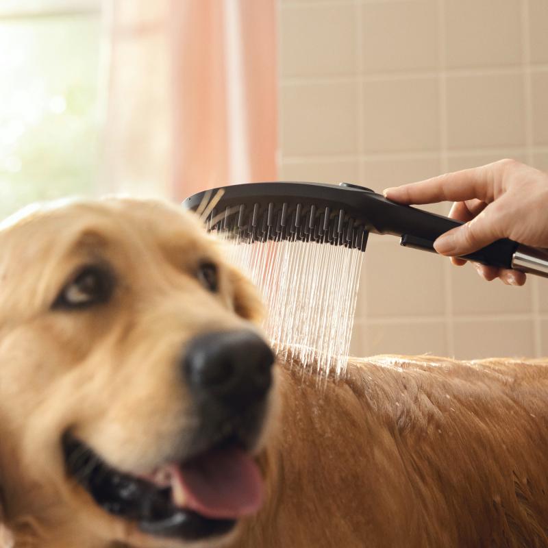 Prhe 26640670 Hansgrohe DogShower Select tuš ročka 3 funkcije | KOPALNICA-ONLINE.SI