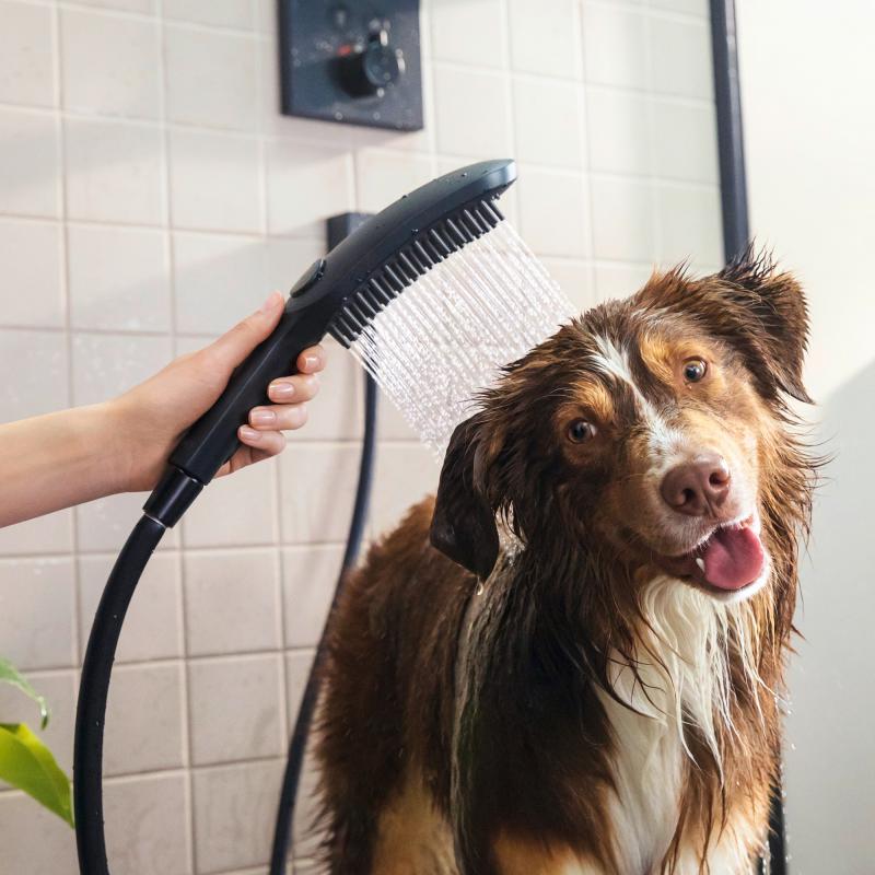 Prhe 26640670 Hansgrohe DogShower Select tuš ročka 3 funkcije | KOPALNICA-ONLINE.SI