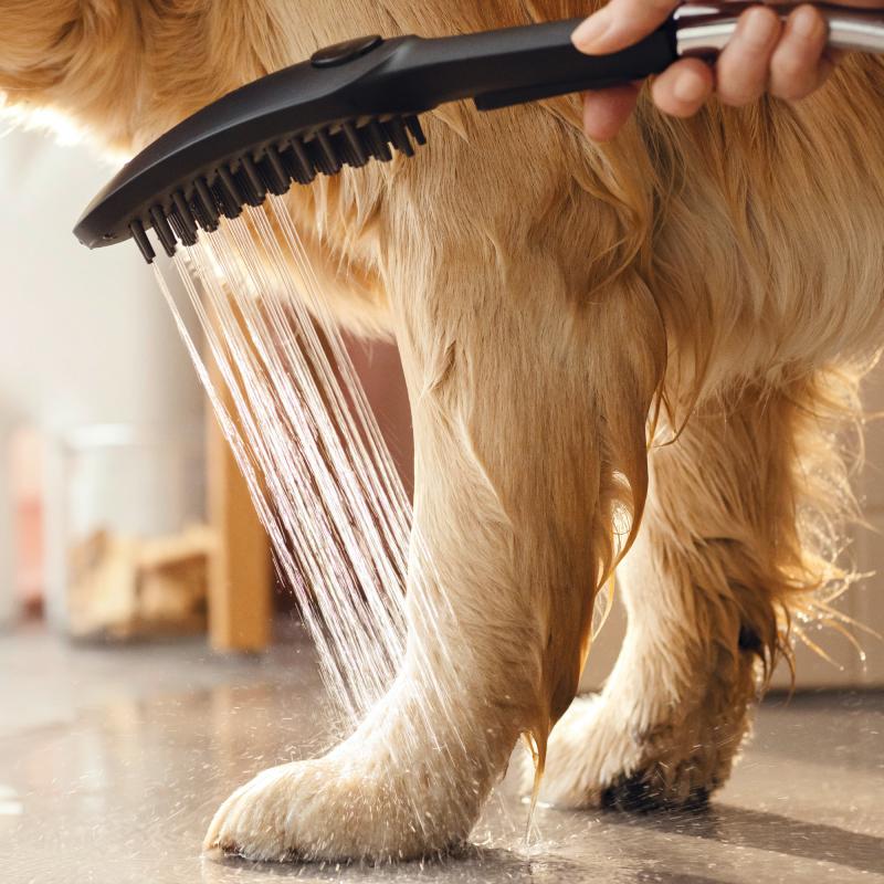 Prhe 26640670 Hansgrohe DogShower Select tuš ročka 3 funkcije | KOPALNICA-ONLINE.SI