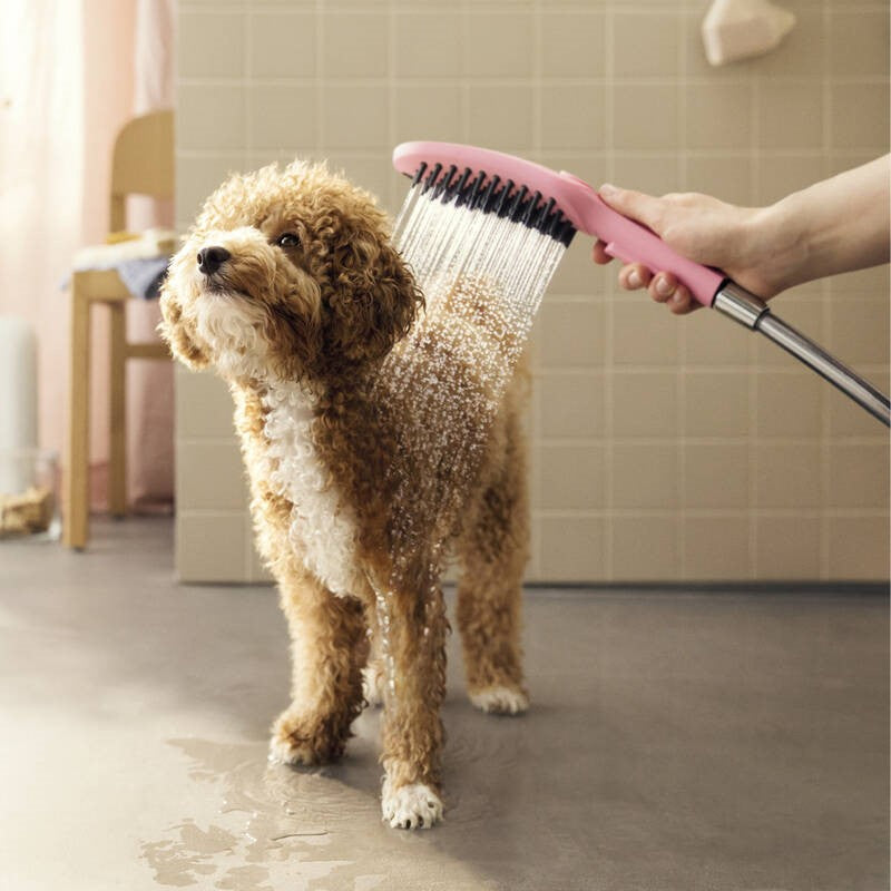 Prhe 26640670 Hansgrohe DogShower Select tuš ročka 3 funkcije | KOPALNICA-ONLINE.SI