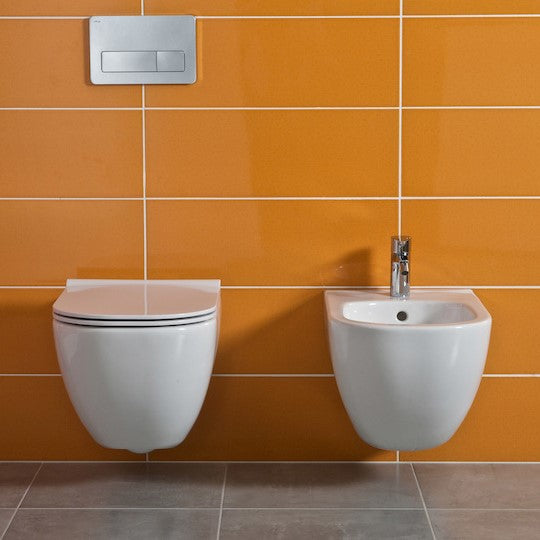 H8317120003021 Jika Mio viseči bide